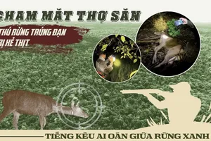 Điều tra: Chạm mặt cánh thợ săn, thú rừng Vườn quốc gia Cát Tiên trúng đạn và bị xẻ thịt 