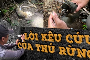 Infographic: Động vật trong Sách đỏ và cam kết từ quán nhậu '100% thú rừng còn sống'