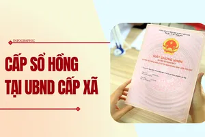 Infographic: Chi tiết thủ tục cấp sổ hồng tại UBND cấp xã sau sáp nhập