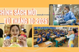 Chính sách mới từ tháng 10: Cập nhật ngay để không ảnh hưởng quyền lợi