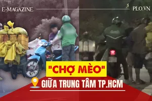 Thâm nhập đường dây 'mèo tặc' - Bài 2: Theo dấu những phi vụ mua - bán khó tin 