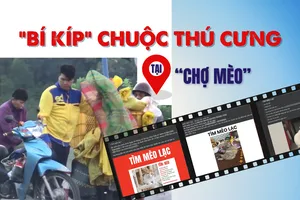 Thâm nhập đường dây 'mèo tặc' - Bài 3: Giáp mặt kẻ trộm, nghe cách ra giá chuộc mèo 