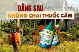 ĐIỀU TRA bài 3: Thuốc cấm được 'chuyển phát nhanh' đến đồng ruộng