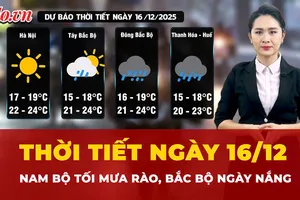 Thời tiết ngày 16-12: Nam Bộ ngày nắng, tối có mưa rào; Bắc Bộ ngày nắng, có nơi rét đậm