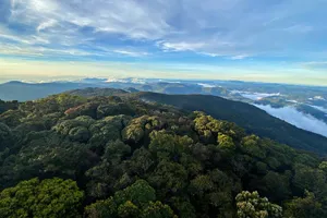 Chinh phục nóc nhà Nam Tây Nguyên với báu vật cây pơ mu 1.300 năm tuổi