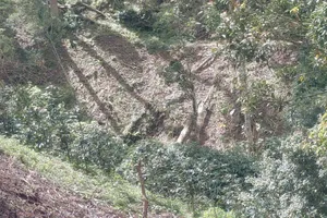 Lâm Đồng: Làm rõ vụ phá hơn 1,4 ha rừng phòng hộ ở xã Quảng Lập