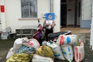 Nữ “đạo chích” đang hái trộm cà phê ở Lâm Đồng thì bị bắt quả tang