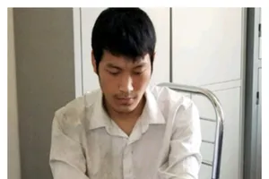 Vụ tòa đề nghị xử luật sư: Liên đoàn Luật sư ý kiến