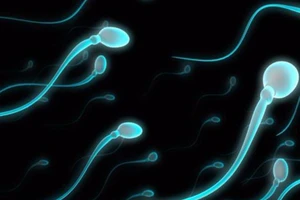 Vợ đòi chồng bồi thường vì... tinh trùng yếu