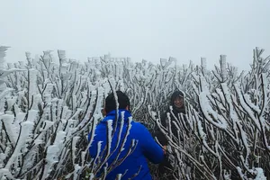 VIDEO: Băng tuyết phủ trắng đỉnh Mẫu Sơn