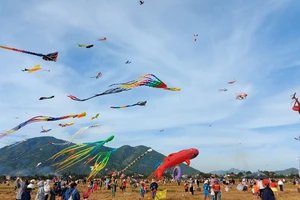 Hàng trăm con diều hải sản bay lượn trên đồng lúa Diên Khánh 