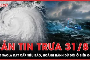 Bản tin trưa 31-8: Bão Saola đạt cấp siêu bão, hoành hành dữ dội ở Biển Đông