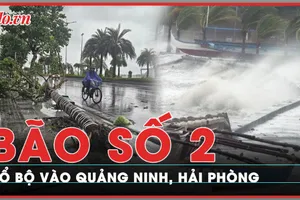 Đổ bộ vào Quảng Ninh - Hải Phòng, bão số 2 gây mưa lớn, có nơi trên 300 mm