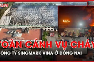 Cảnh hoang tàn của Công ty Singmark Vina ở Đồng Nai sau khi bị lửa thiêu rụi hoàn toàn nhà xưởng