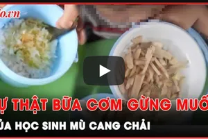 Yên Bái điều tra sự thật đằng sau bữa cơm gừng chấm muối của học sinh Mù Cang Chải