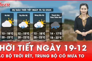 Thời tiết ngày 19-12: Bắc Bộ trời rét đậm, rét hại; Trung Bộ tiếp tục hứng mưa rét
