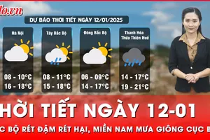 Thời tiết ngày 12-01: Miền Bắc rét đậm rét hại, miền Nam mưa giông cục bộ