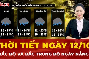 Thời tiết ngày 12-10: Bắc Bộ và Bắc Trung Bộ ngày nắng, có mưa vài nơi
