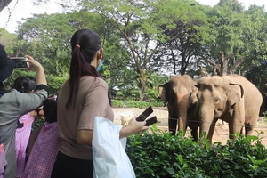 Thảo Cầm Viên thông báo tăng giá vé