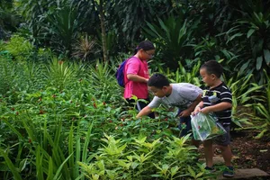 Nghỉ hè mùa dịch, con học những gì?