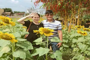 Tết này giới trẻ mang gì về cho mẹ?