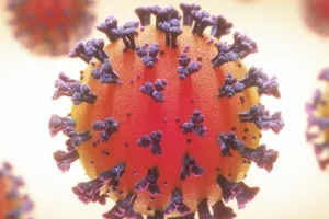 Virus SARS-CoV-2. Ảnh: WHO