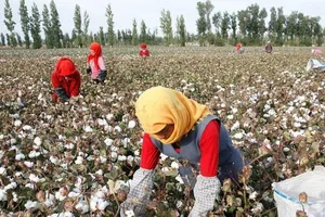 Doanh nghiệp Mỹ sợ tác động tiêu cực nếu tẩy chay hàng hóa Tân Cương