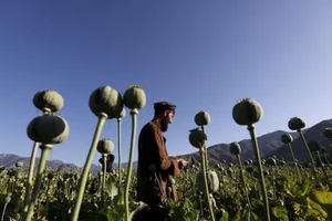 Thề 'nghỉ' bán ma túy - liệu Taliban có tồn tại được?
