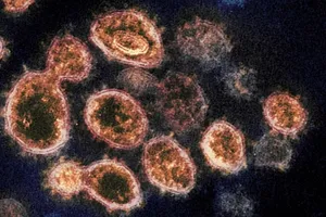 Biến thể Mu đã xuất hiện ở 49/50 bang của Mỹ