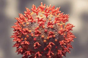 Biết gì về biến thể tái tổ hợp Delta-Omicron và giữa các dòng phụ của Omicron?