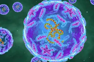 New York lần đầu ghi nhận ca mắc bại liệt sau 10 năm, chuyên gia cảnh tỉnh người dân