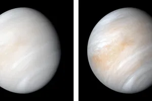 Phân tích mới về ngọn núi lửa đang hoạt động trên sao Kim