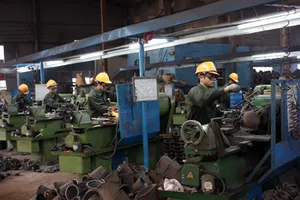 Tạm đình chỉ công việc bao lâu? 