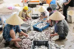 Đòi tiền lời bán cá mà không tính tiền lỗ được không? 