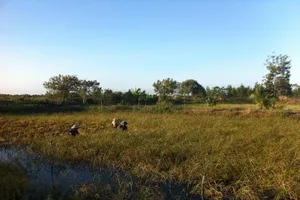 Hết thời hiệu kiện chia thừa kế, toà vẫn nhận đơn? 