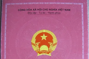 Nhập hộ khẩu cho trẻ trong 60 ngày? 