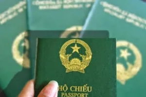 Công ty chưa thi hành án, cấm giám đốc xuất cảnh? 