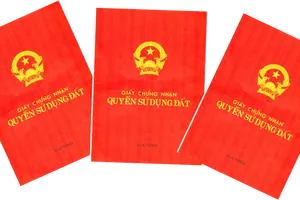 Ba người đứng tên chung thửa đất, được không? 