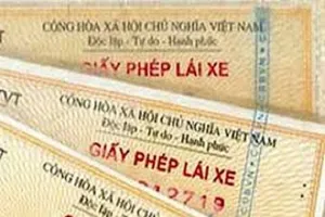 Khi nào cấp đổi giấy phép lái xe ô tô? 