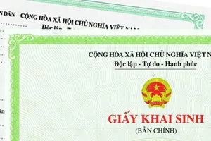 Khai sinh cho con theo nơi cư trú của cha hay mẹ? 