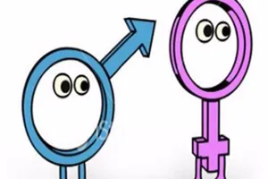 Cháu nội, ngoại hưởng thừa kế như nhau