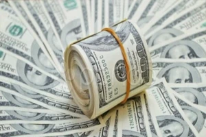 Thuê nhà trả tiền USD có trái luật? 