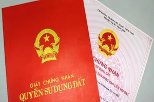 Hai phương án gỡ “quá tải” khi cấp giấy chứng nhận