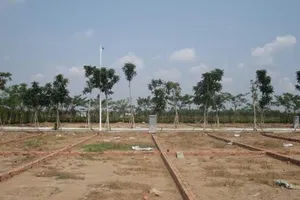 Sớm có hướng dẫn tách thửa đất, tránh phân lô tràn lan 