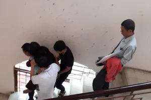 Hủy án vụ đương sự xỉu tại tòa vì vi phạm tố tụng 