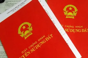 Không lập vi bằng đối với nhà, đất chưa có sổ 