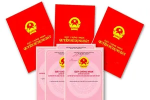 Thi hành pháp luật về đất đai và phòng cháy, chữa cháy 