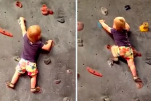 Bé 19 tháng tuổi leo núi nhân tạo như nhà chuyên nghiệp