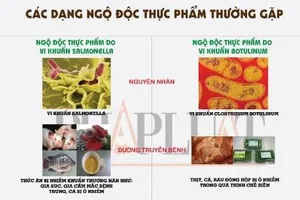 Infographic: Các dạng ngộ độc thực phẩm do vi khuẩn