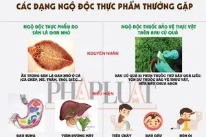 Infographic: Các dạng ngộ độc thực phẩm từ cá và rau củ thường gặp